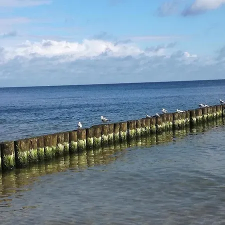 Apartmán Ferienbungalow Ancora In *