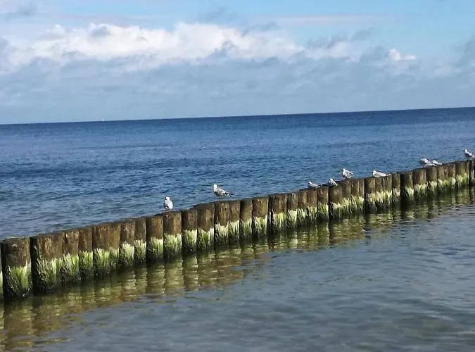 Апартаменты Ferienbungalow Ancora In *